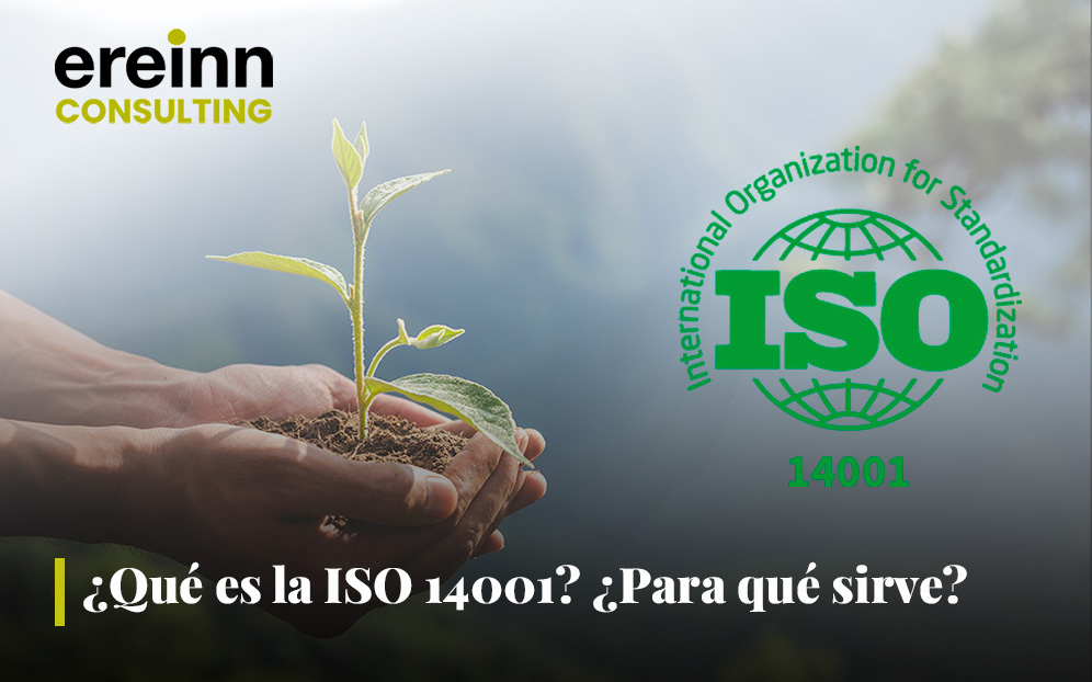 ¿Qué es la ISO 14001? ¿Para qué sirve?