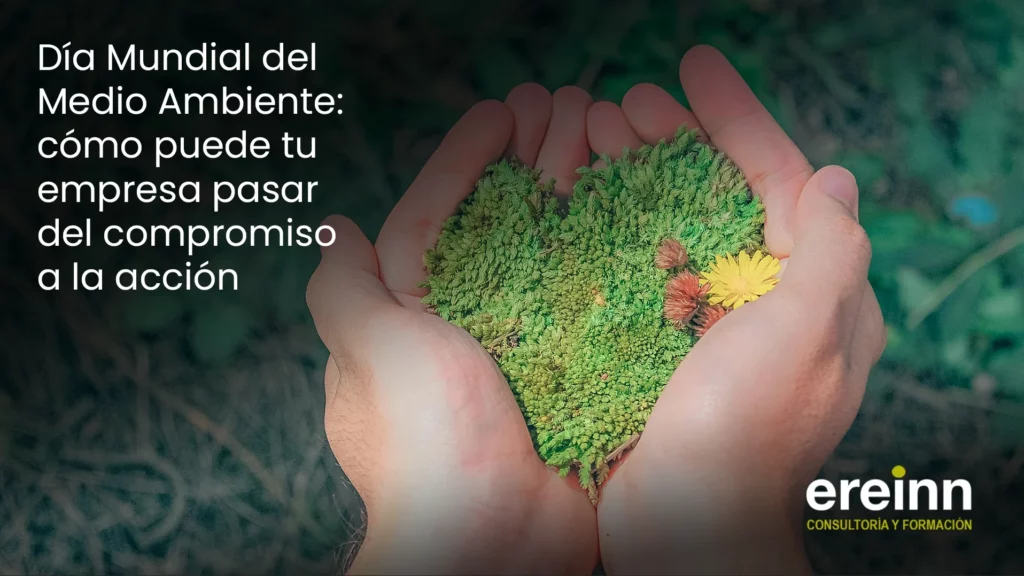 Día Mundial del Medio Ambiente: cómo puede tu empresa pasar del compromiso a la acción